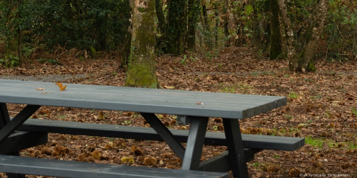Parcours pédagogique biodiversité
