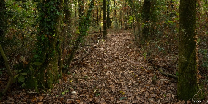 Parcours pédagogique biodiversité