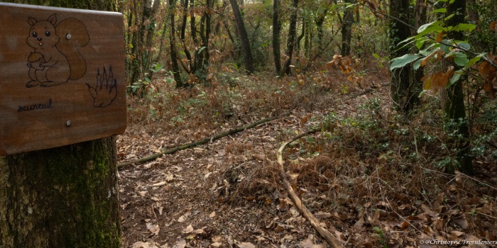 Parcours pédagogique biodiversité