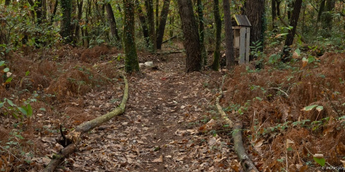 Parcours pédagogique biodiversité