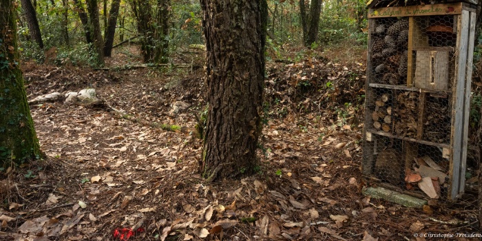 Parcours pédagogique biodiversité