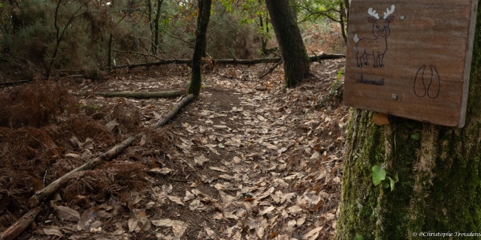 Parcours pédagogique biodiversité