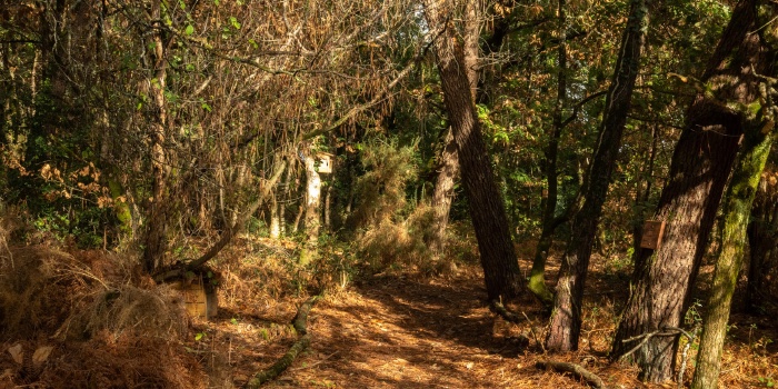 Parcours pédagogique biodiversité