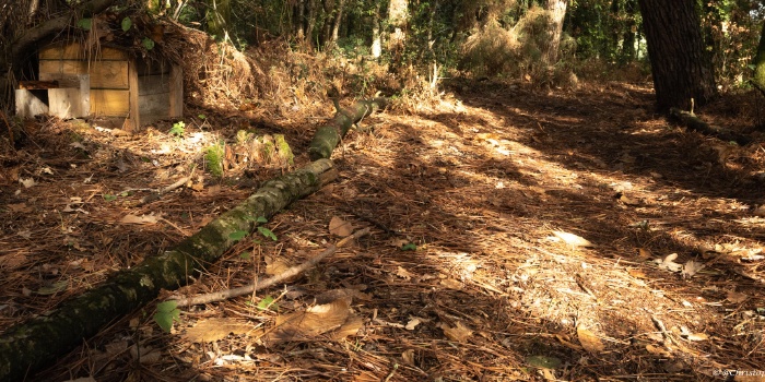 Parcours pédagogique biodiversité