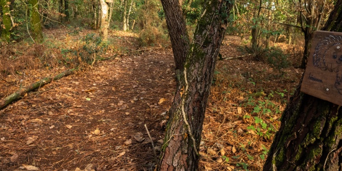 Parcours pédagogique biodiversité