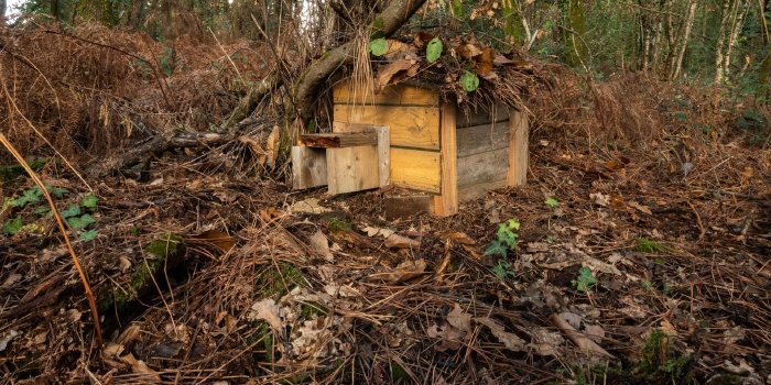 Parcours pédagogique biodiversité
