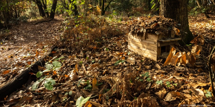 Parcours pédagogique biodiversité