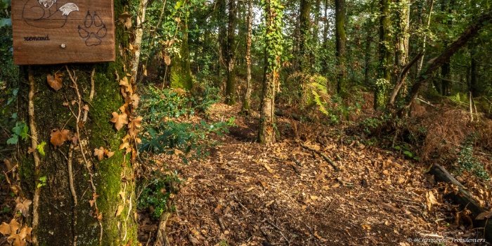 Parcours pédagogique biodiversité