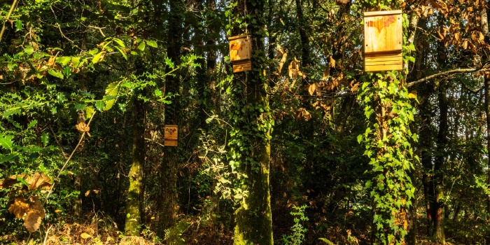 Parcours pédagogique biodiversité