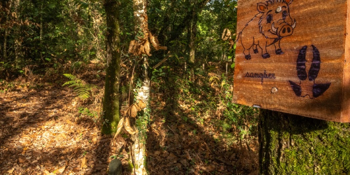 Parcours pédagogique biodiversité