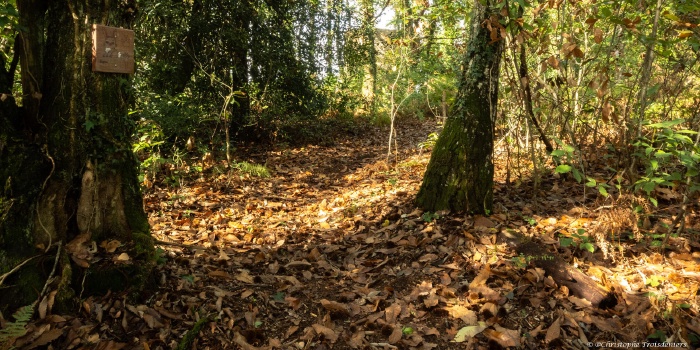 Parcours pédagogique biodiversité