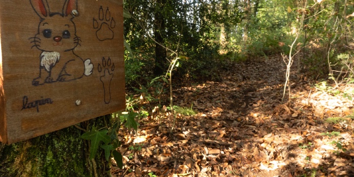 Parcours pédagogique biodiversité