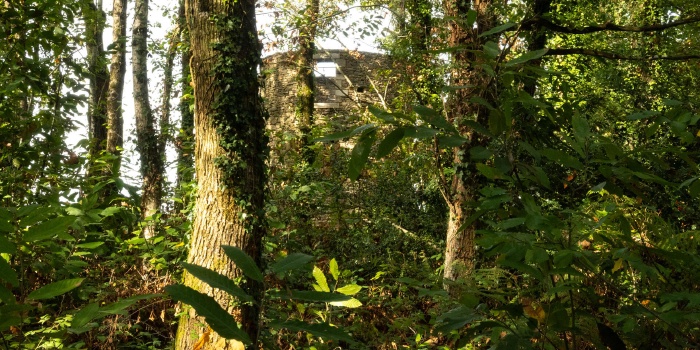 Parcours pédagogique biodiversité