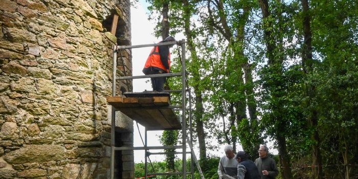 Rénovation de la fenêtre – Nettoyage – création d'un chemin