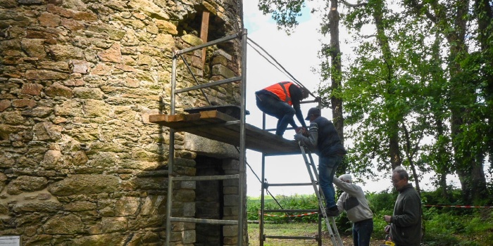 Rénovation de la fenêtre – Nettoyage – création d'un chemin