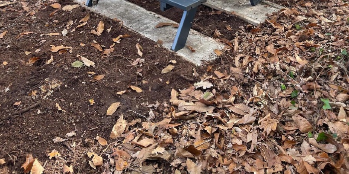 Travaux d'hiver