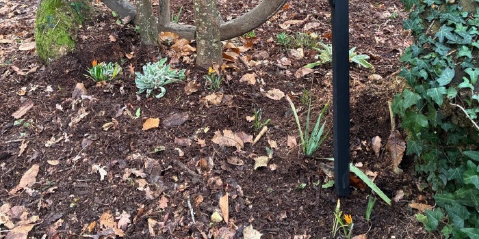 Travaux d'hiver