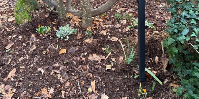 Travaux d'hiver