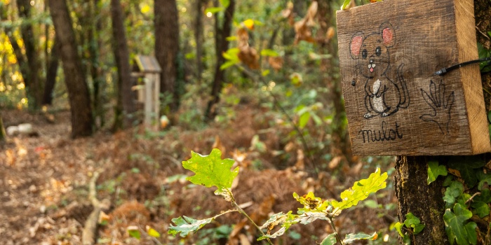 Du nouveau au parcours pédagogique biodiversité