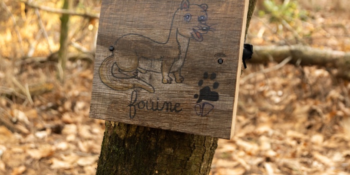 Du nouveau au parcours pédagogique biodiversité