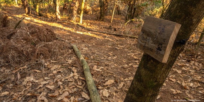 Du nouveau au parcours pédagogique biodiversité