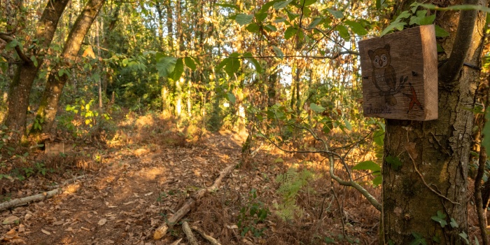 Du nouveau au parcours pédagogique biodiversité