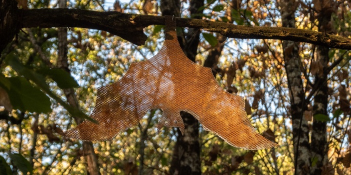 Du nouveau au parcours pédagogique biodiversité