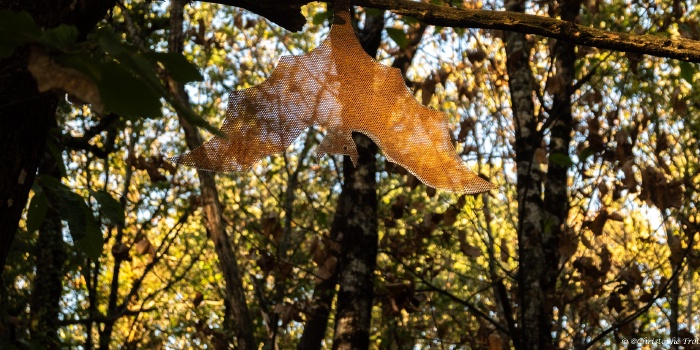 Du nouveau au parcours pédagogique biodiversité