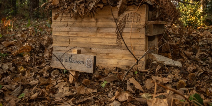 Du nouveau au parcours pédagogique biodiversité