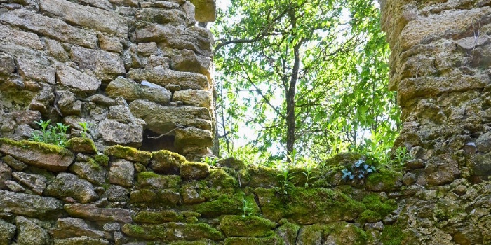 Poursuite des travaux et de la gravure de la date de construction du moulin