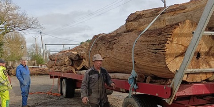 Dons de troncs d'arbres