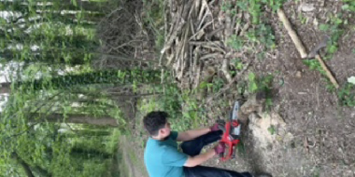Reprise du chantier