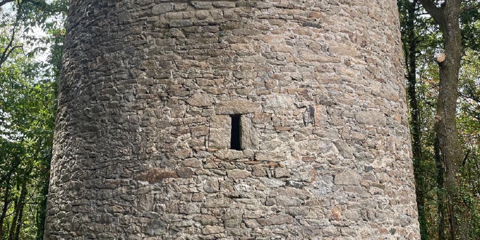 Fin de la maçonnerie de la fenêtre (côté champ)