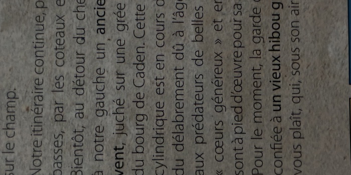 La ronde des Crapados