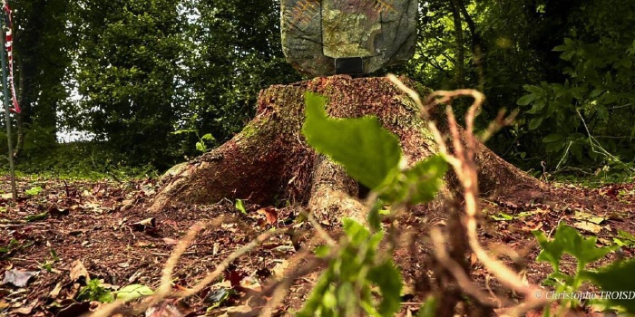 Session photos