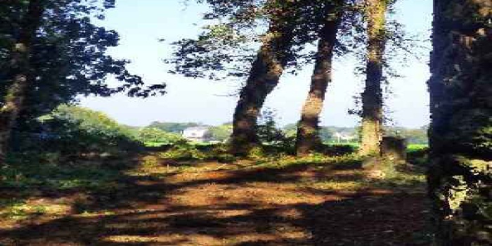 Troisième journée de travail